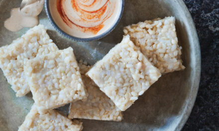 Brown Rice Squares with Coconut Cashew Dipping Sauce